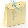 triangular pouch box